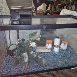 Fish Tank With All Accessories 