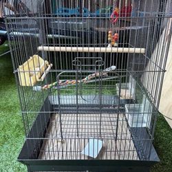 Bird Cage