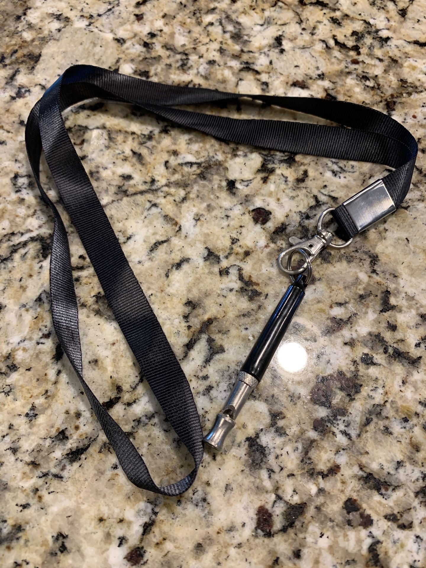 New Metal Dog Training Whistle W/ Cord To Wear Around Your Neck, Makes Sounds That Only The Dog Can Hear
