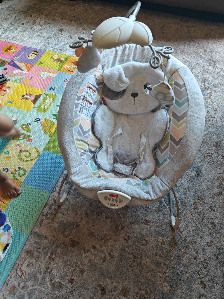 Fisher Price Baby Rocker