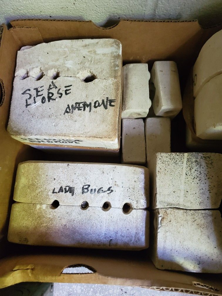 Ceramic Molds, Vintage 1976 Duncan Molds