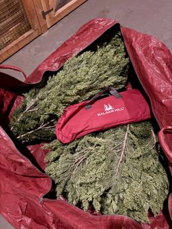 Balsam Hill Christmas Tree