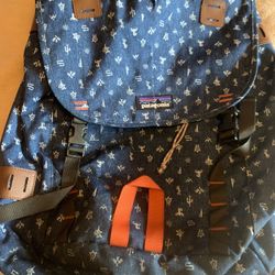 Patagonia Backpack 