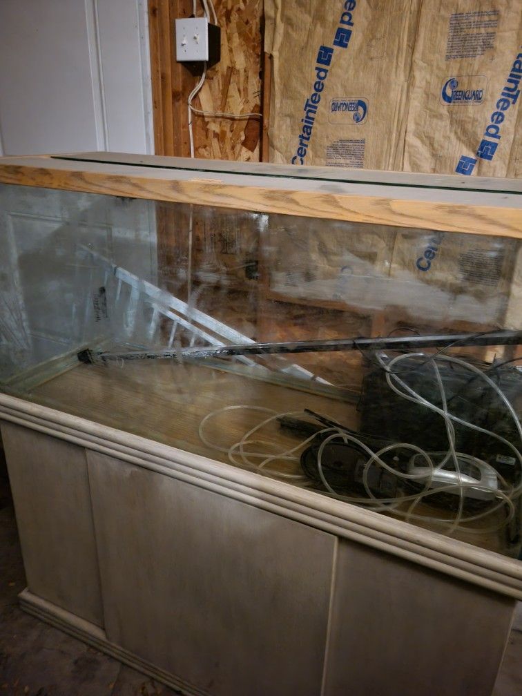 Fish Tank
