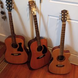 Christmas Special, Classical, Acoustic And Electric From $100 On Up.