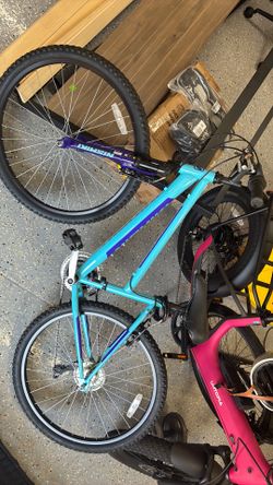 Blue Nishiki mountain bike