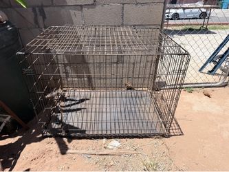 XL Crate