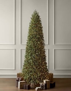 Home Decorators 12ft Elegant Twinkling Grand Fir LED Pre-lit Christmas Tree