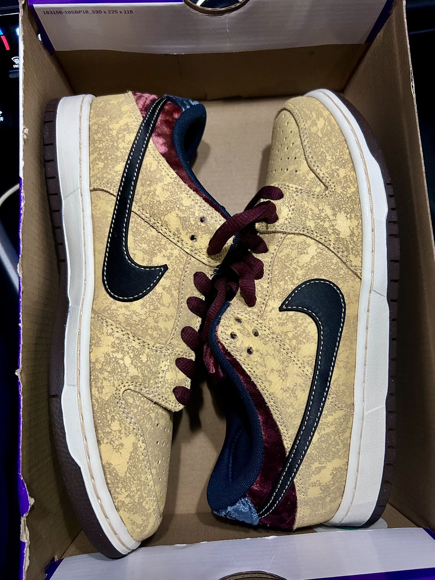 Nike SB Dunk Low Pro / Size 9.5 / 100$