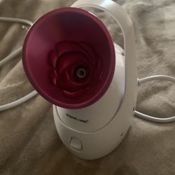 Face And Hair Steamer