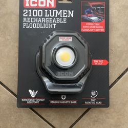 Icon 2100 Lumen Floodlight 