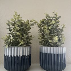 2 Fake Plants Ombré Color