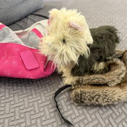 American Girl’s dog