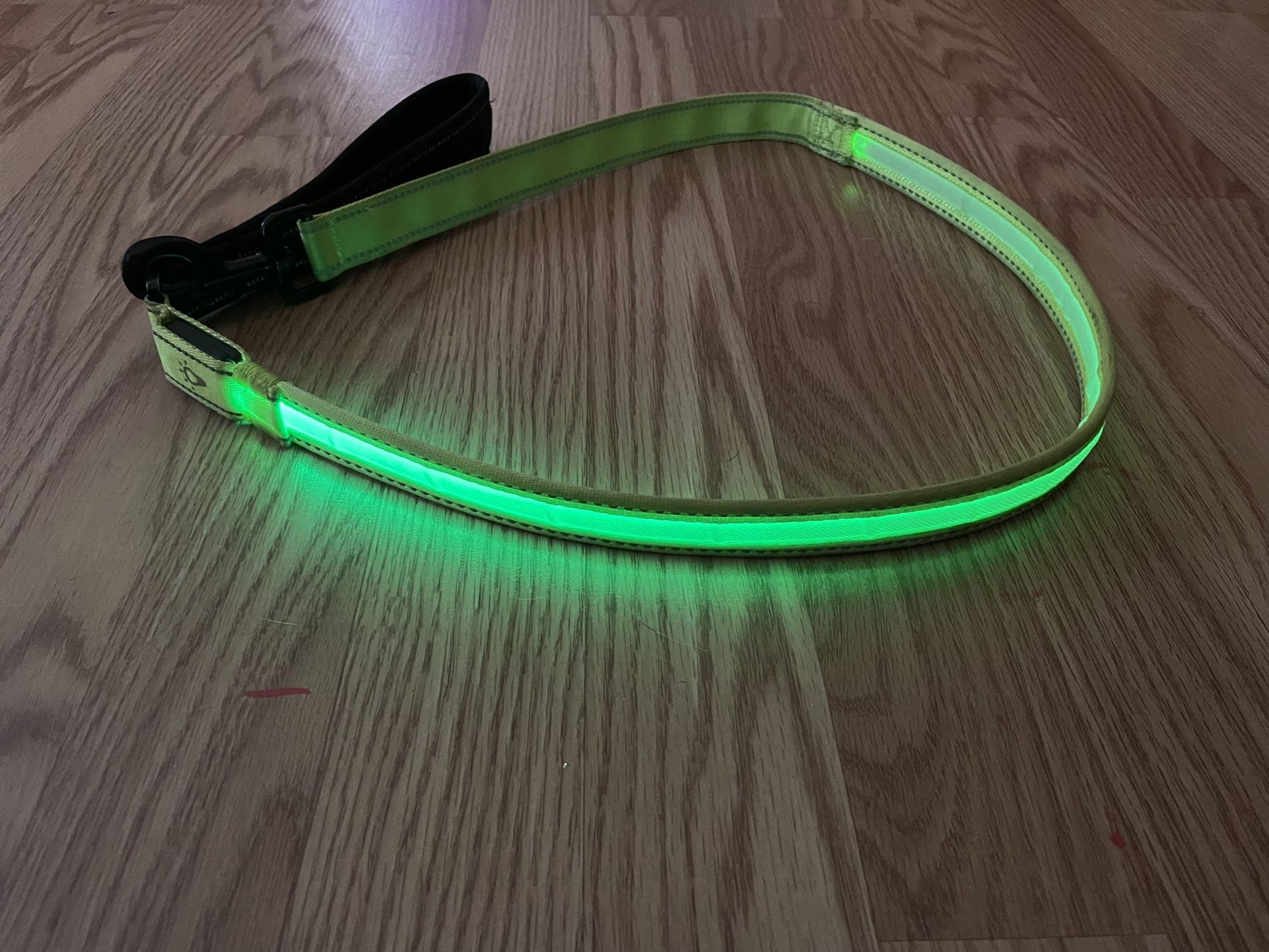 Light Up Dog Leash 