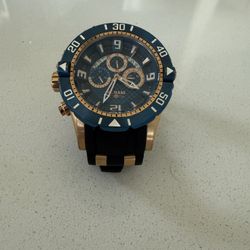 Invicta Pro Diver 