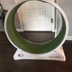 Cat Wheel