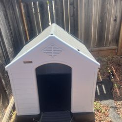 Dog House 