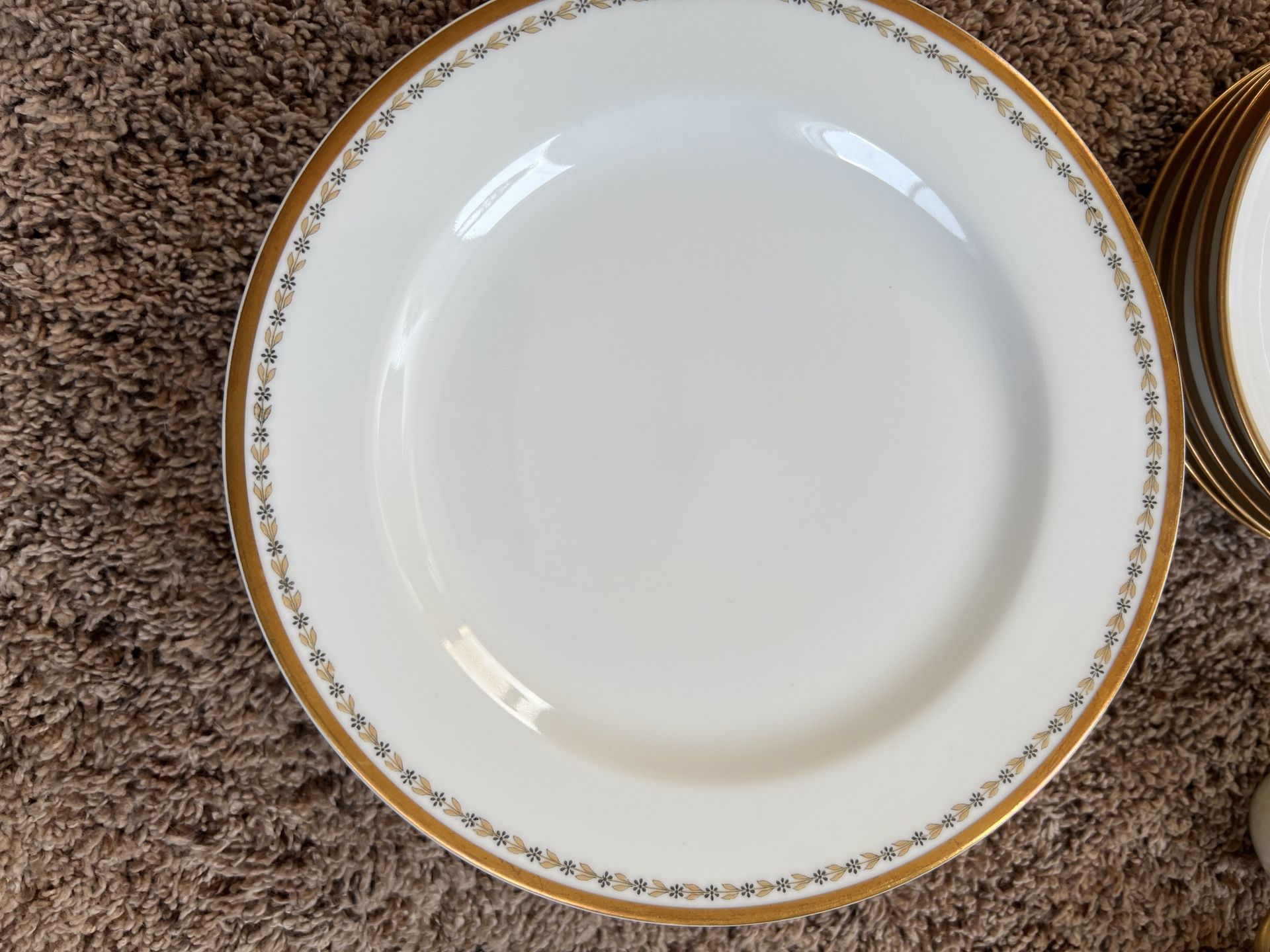 Haviland Limoges Plates