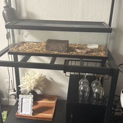 Reptile, Turtle , Snake Tank