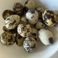 Quail Eggs Organic 1 dozen 
