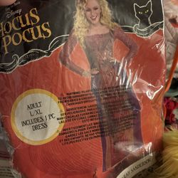 Sarah Sanderson Costume