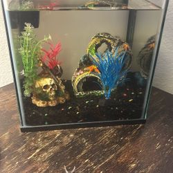 5 Gal LED Fish Tank 