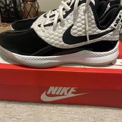 LeBron James Nike Patten Leathers (Witness)