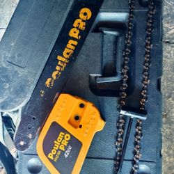 Poulan Pro 18 in Chainsaw 