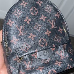 Louis Vuitton Palm Springs Mini Bag
