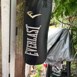 Punching Bag 