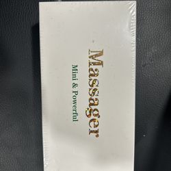 Mini massager