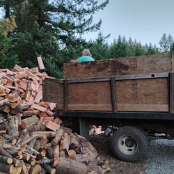 Firewood 