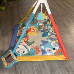 Play Mat