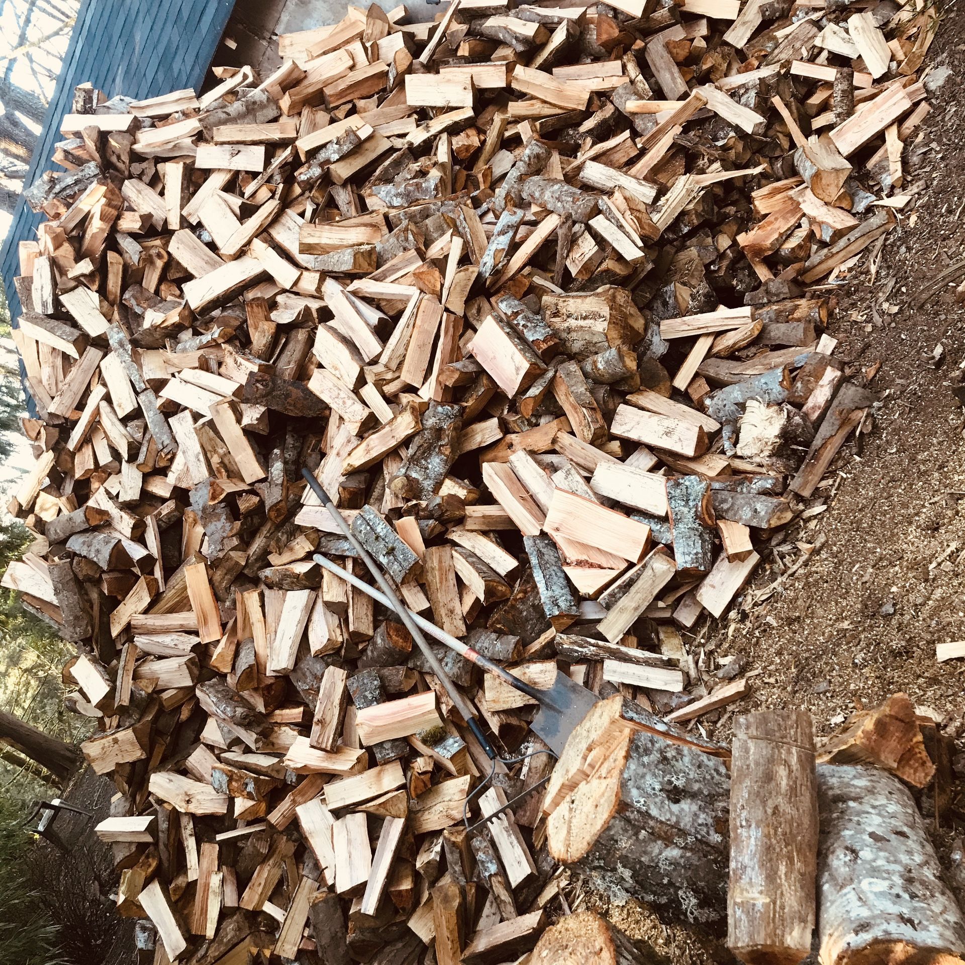 Firewood