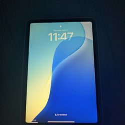 iPad Mini 7 Wifi + Cellular Unlocked