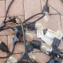 Garden Lights 