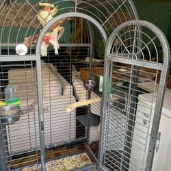 Bird Cage for Sale $80