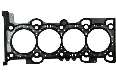 Brand new radiator and head gasket