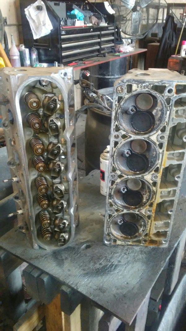 317 heads for Sale in Lecanto, FL OfferUp