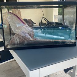10 Gallon Tank With Lid, Filter, And Heater