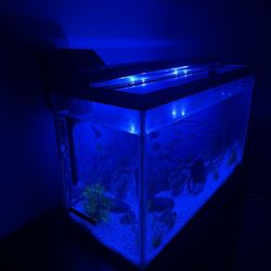 Fish Tank 30 Gallons