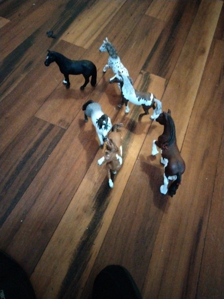 Horse Model