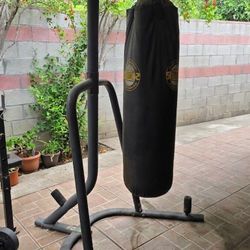 Everlast Punching Bag With Stand