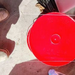 1/4 Thick 8 3/4 In  × 11 3/4 In  Plexiglass