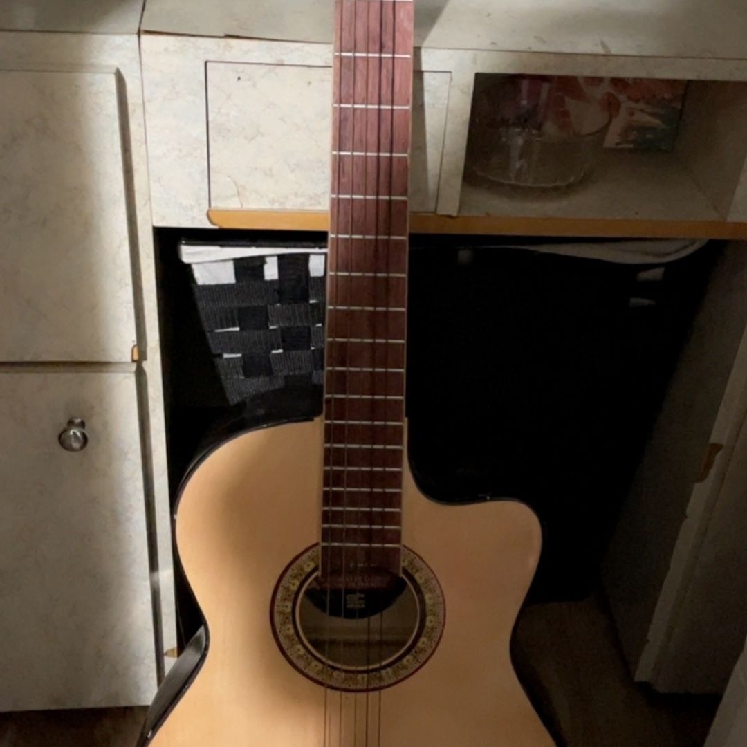 Guitar