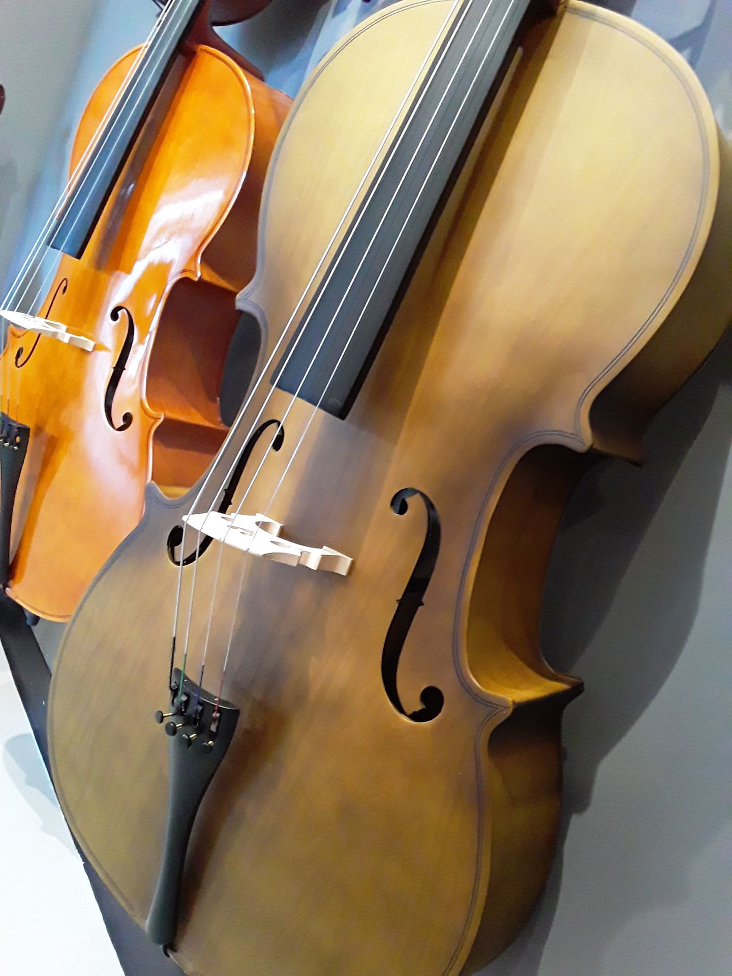 Strumenti Cello 103 4/4
