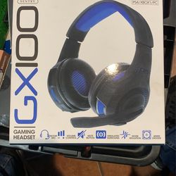 GX100