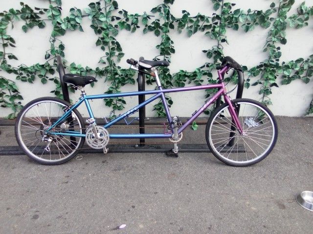 Ibis Tandem Mountan Bike xxx* The [Look Ew