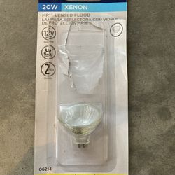 Landscape Lightbulb 12v