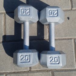 20LB Dumbbell Set 
